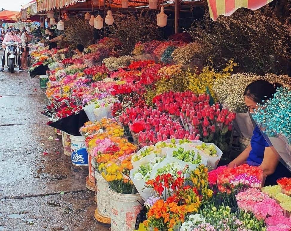Kinh nghiệm đi thăm chợ hoa Quảng Bá